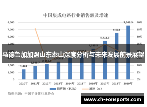 马德鲁加加盟山东泰山深度分析与未来发展前景展望